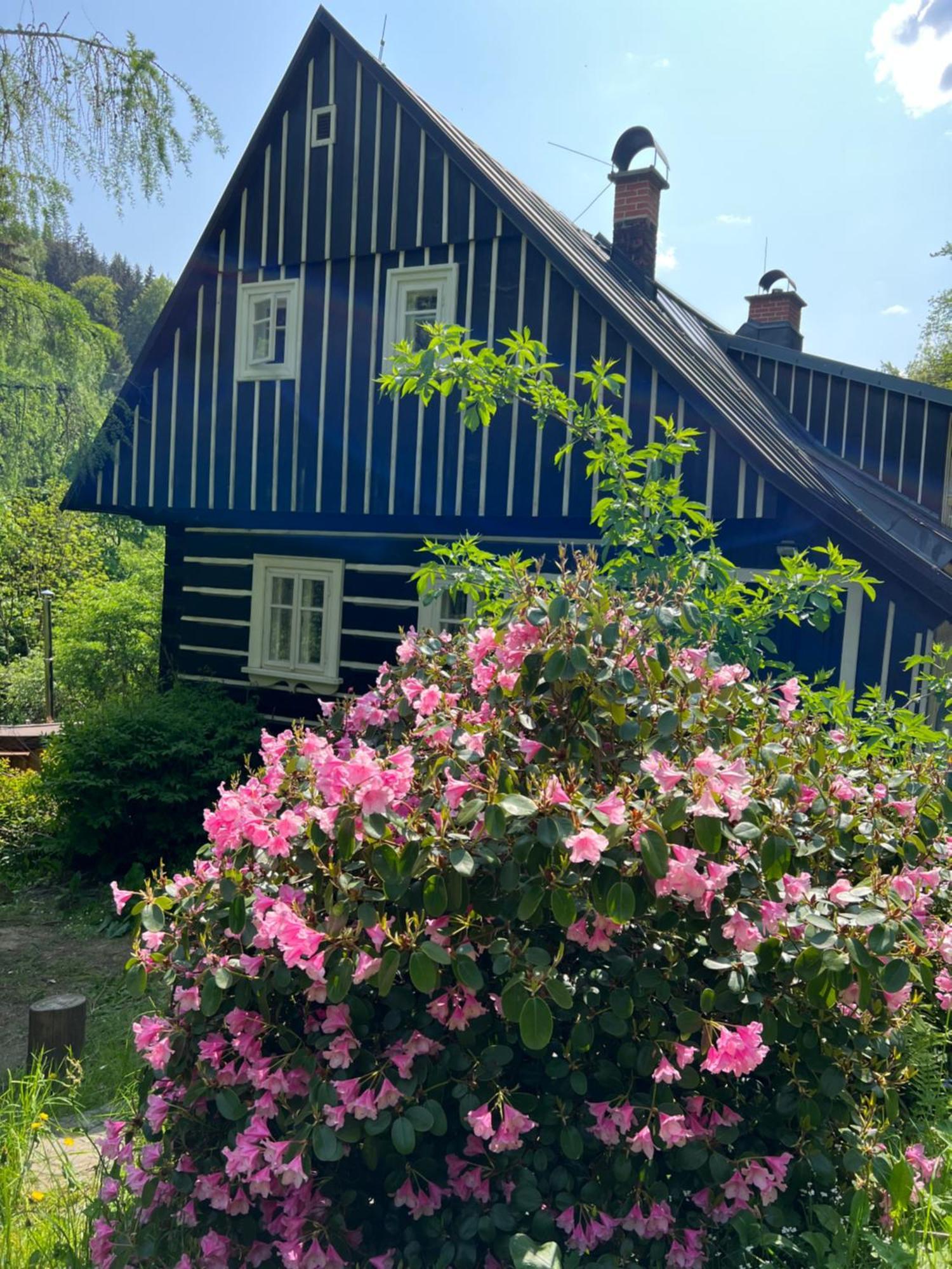 Villa Roubenka Bratrouchov Jablonec nad Jizerou Exterior foto
